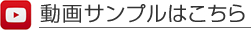 動画サンプル